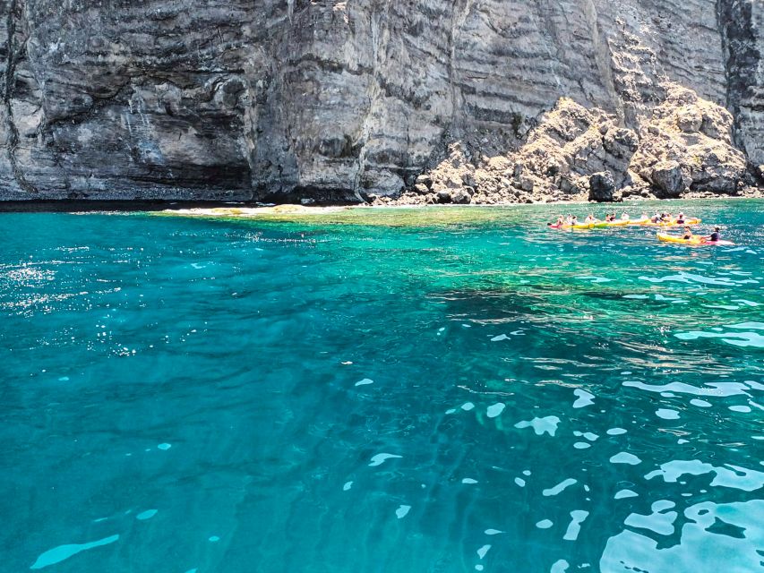 Los Gigantes: Whales and Dolphin Watching Cruise with Lunch - What the boat and group size feel like