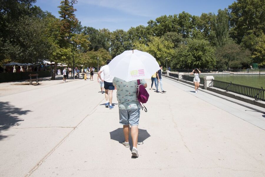 Madrid: 1.5-Hour Retiro Park Guided Walking Tour - The Crystal Palace and Retiro’s grand buildings