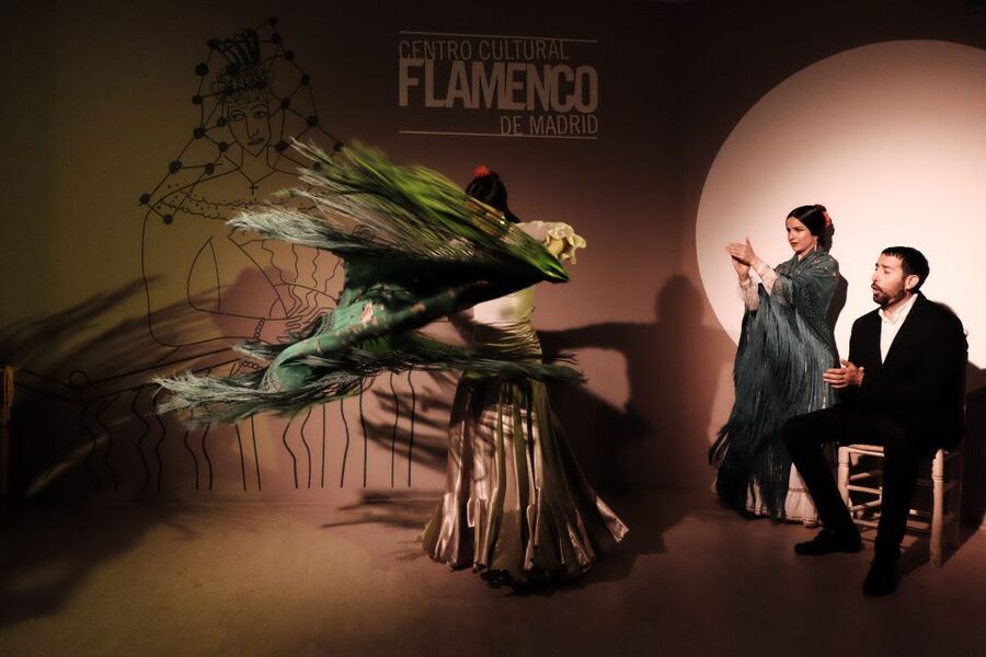 Madrid: 1-Hour Traditional Flamenco Show at Centro Cultural - Who should book this flamenco performance?