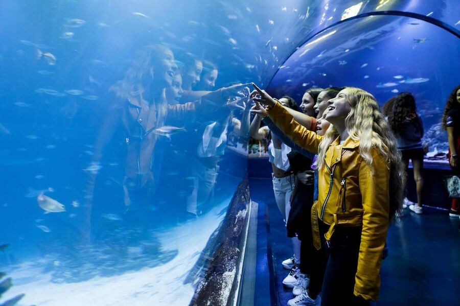 Madrid: Atlantis Aquarium Entry Ticket - Sharks, turtles, and the larger animals