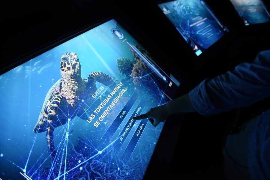 Madrid: Atlantis Aquarium Entry Ticket - Interactive stations that make the lesson stick