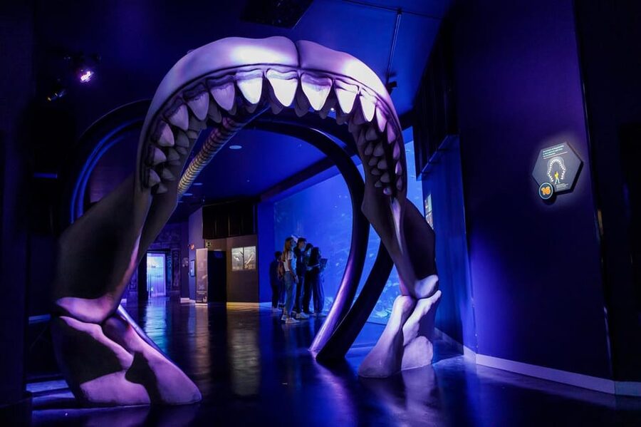 Madrid: Atlantis Aquarium Entry Ticket - The first aquariums: a tour of aquatic habitats