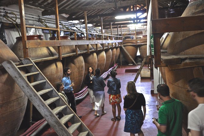 Madrid Countryside Wineries Guided Tour with Wine Tasting - Why Madrid’s Wine Region Is Worth Your Morning
