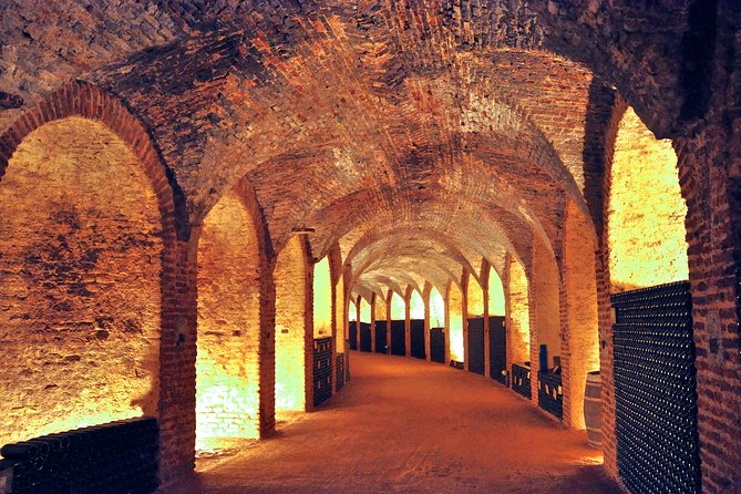 Madrid Countryside Wineries Guided Tour with Wine Tasting - Stop Two: A Second Producer and the Wine-Making Conversation