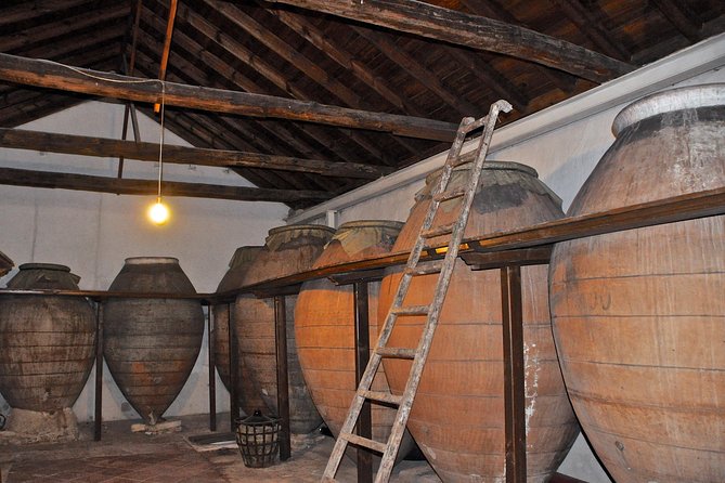 Madrid Countryside Wineries Guided Tour with Wine Tasting - What You Will Taste and Eat