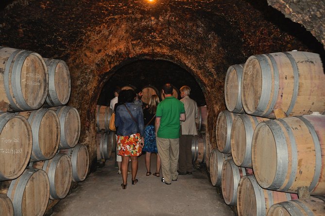 Madrid Countryside Wineries Guided Tour with Wine Tasting - Transport, Timing, and Group Size