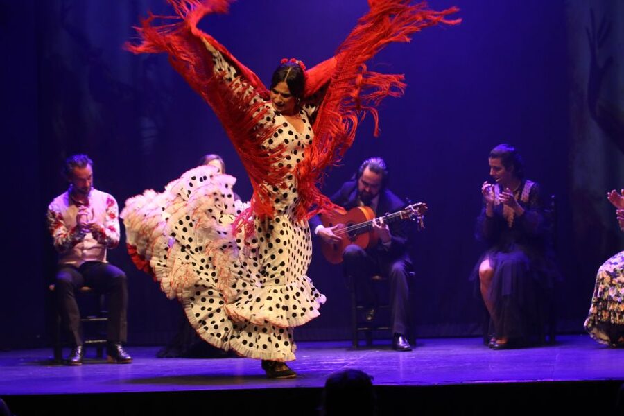 Madrid: "Emociones" Live Flamenco Performance - My booking advice