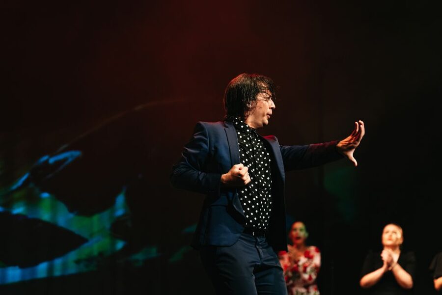 Madrid: "Emociones" Live Flamenco Performance - What Emociones gives you in one hour