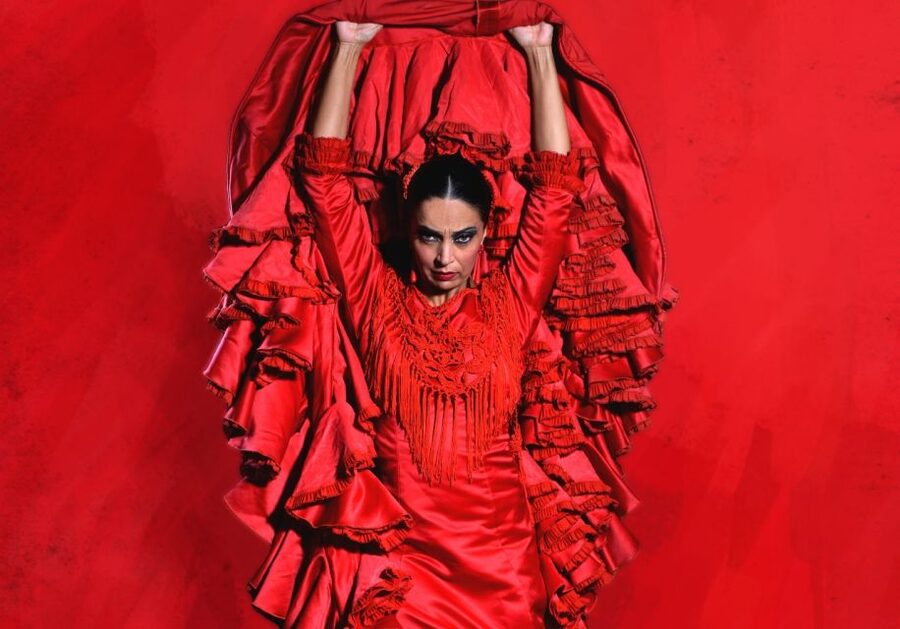 Madrid: "Emociones" Live Flamenco Performance - Is $34 a fair price?
