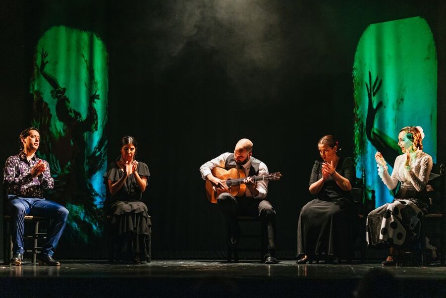 Madrid: "Emociones" Live Flamenco Performance - Who will enjoy Emociones most?