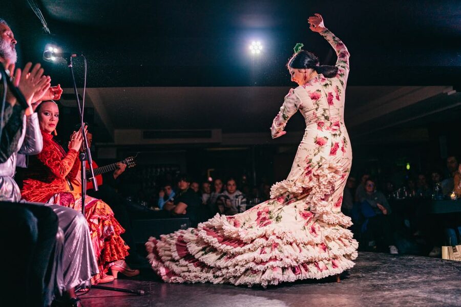 Madrid: Flamenco Show at Tablao Las Carboneras - What the Las Carboneras show is really like