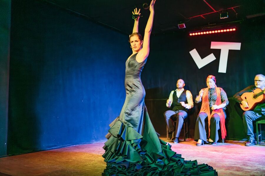 Madrid: Flamenco Show at Tablao "Las Tablas" with Drink - Is $36 a fair price?