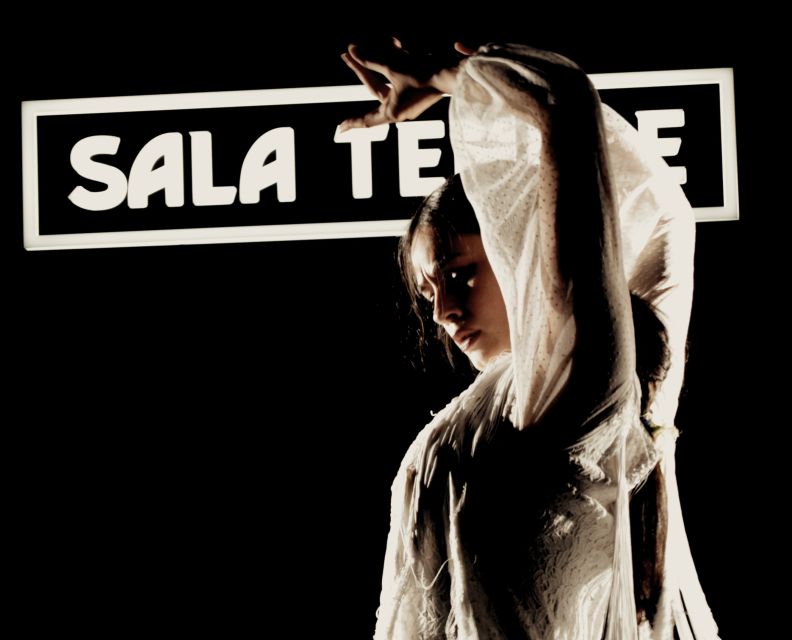 Madrid: Flamenco Show at Tablao Sala Temple with Drink - Who should book this flamenco show?