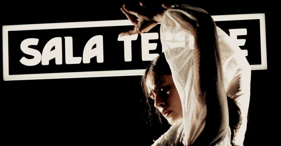 Madrid: Flamenco Show at Tablao Sala Temple with Drink - What happens during the one-hour performance