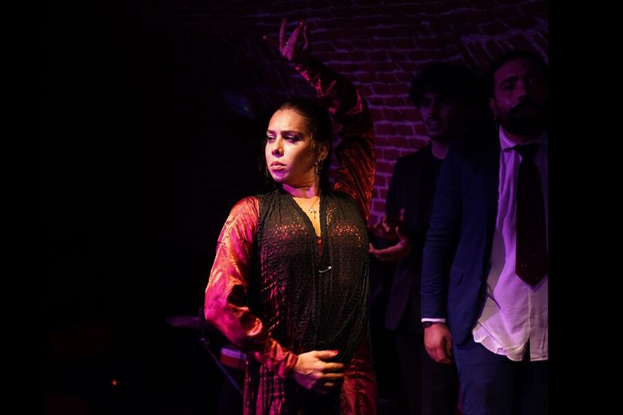 Madrid: Flamenco Show Entry Ticket with Drink & Artist Talk - Key points at a glance