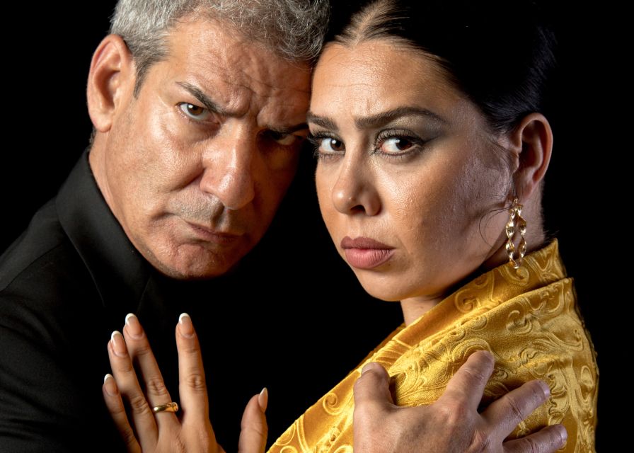 Madrid: Flamenco Show Entry Ticket with Drink & Artist Talk - Is $41 a fair price?
