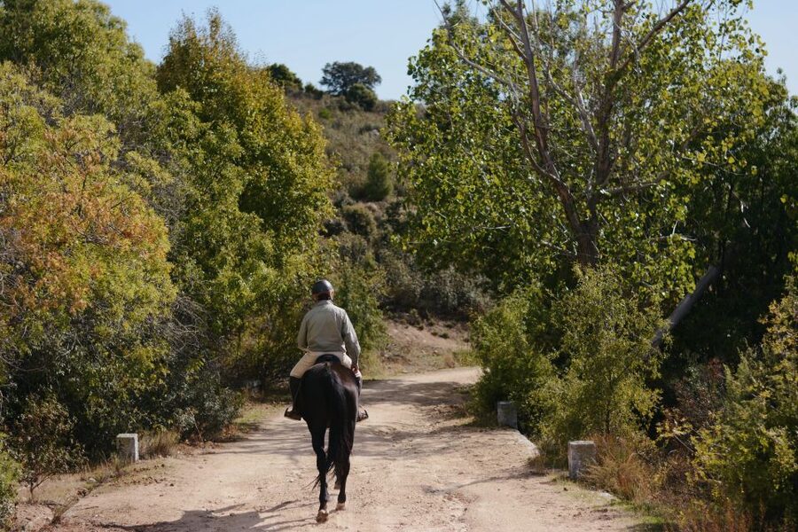 Madrid: Horse Riding in Sierra del Guadarrama National Park - What to wear and what to bring