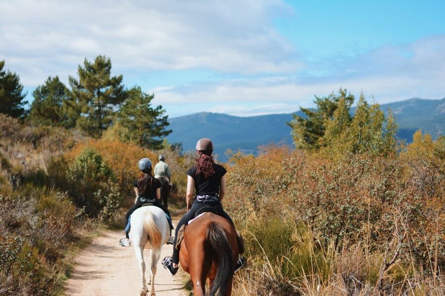 Madrid: Horse Riding in Sierra del Guadarrama National Park - Two hours on mountain trails near Navacerrada