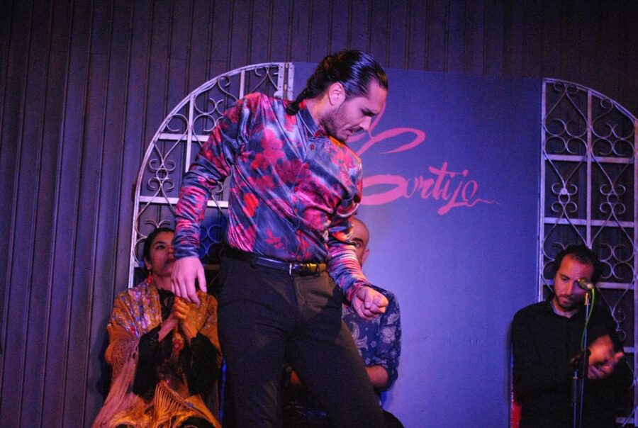 Madrid: Local Flamenco Show at El Cortijo - Who will enjoy this Madrid flamenco show?
