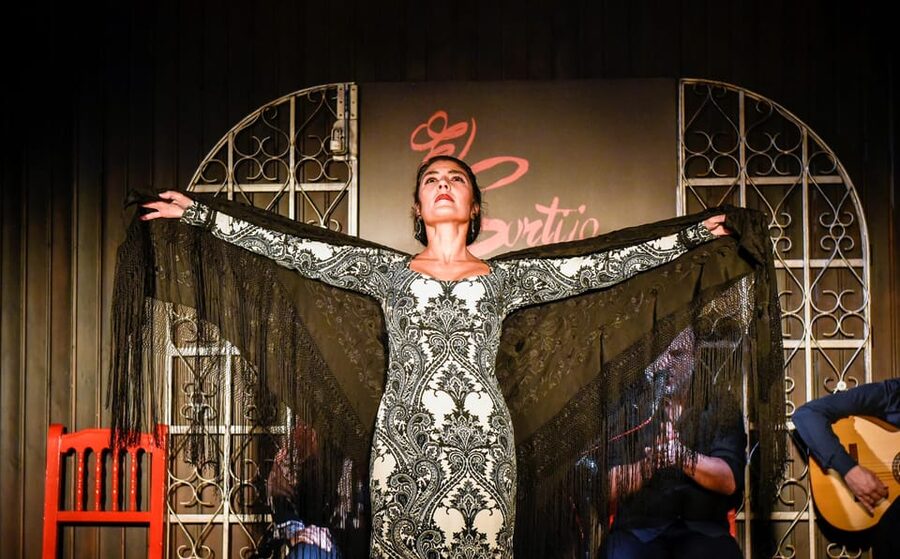 Madrid: Local Flamenco Show at El Cortijo - Practical details before you go