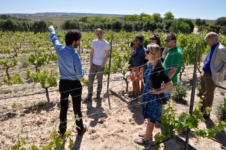 Madrid Region Wineries Guided Tour with Wine Tastings - Key points to know before you book