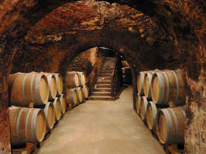Madrid Region Wineries Guided Tour with Wine Tastings - Why Madrid’s wine country is worth your time