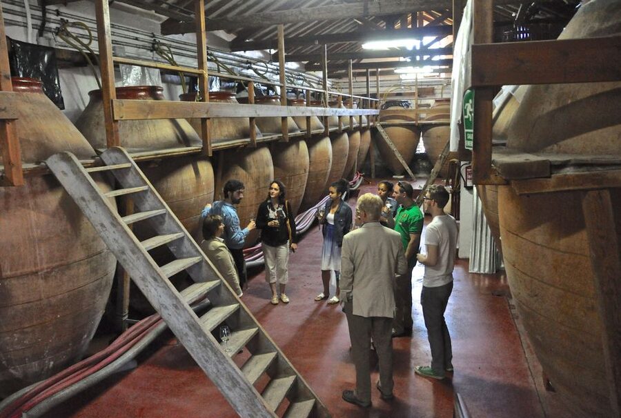 Madrid Region Wineries Guided Tour with Wine Tastings - A second family cellar and a different winemaking approach
