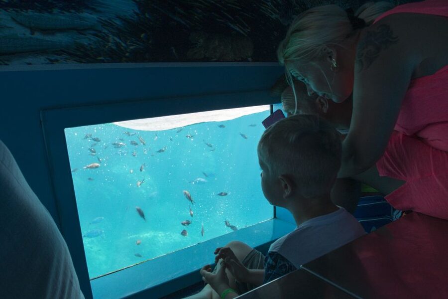 Mahon: Harbor Boat Tour with Underwater Viewing & Commentary - The return route past San Felipe Castle