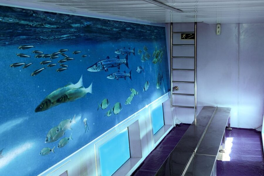 Mahon: Harbor Boat Tour with Underwater Viewing & Commentary - Commentary, crew, and comfort on board