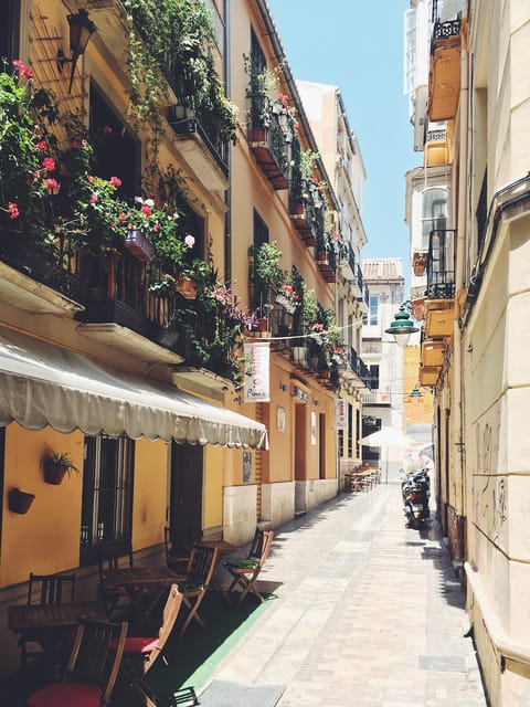 Málaga: 3-Hour Complete Walking Tour with Tickets - Walking Málaga’s old center between major sites