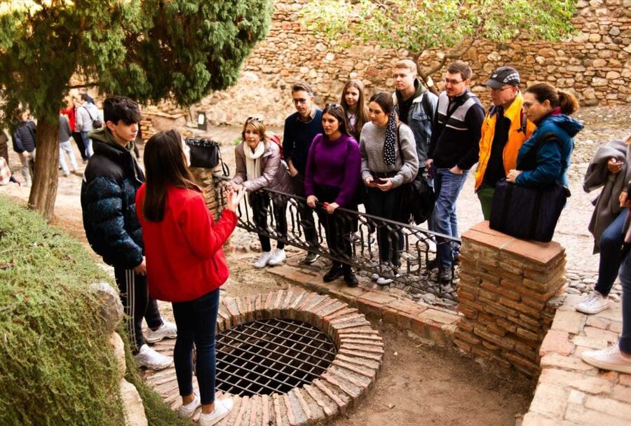 Málaga: Alcazaba and Roman Theatre Guided Tour With Entry - Courtyards, gardens, and stories behind the stone