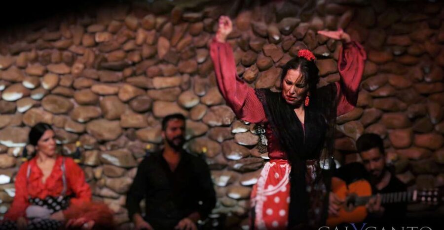 Malaga: Authentic Flamenco Show at El Gallo Ronco - Adding tapas, wine, or a drink