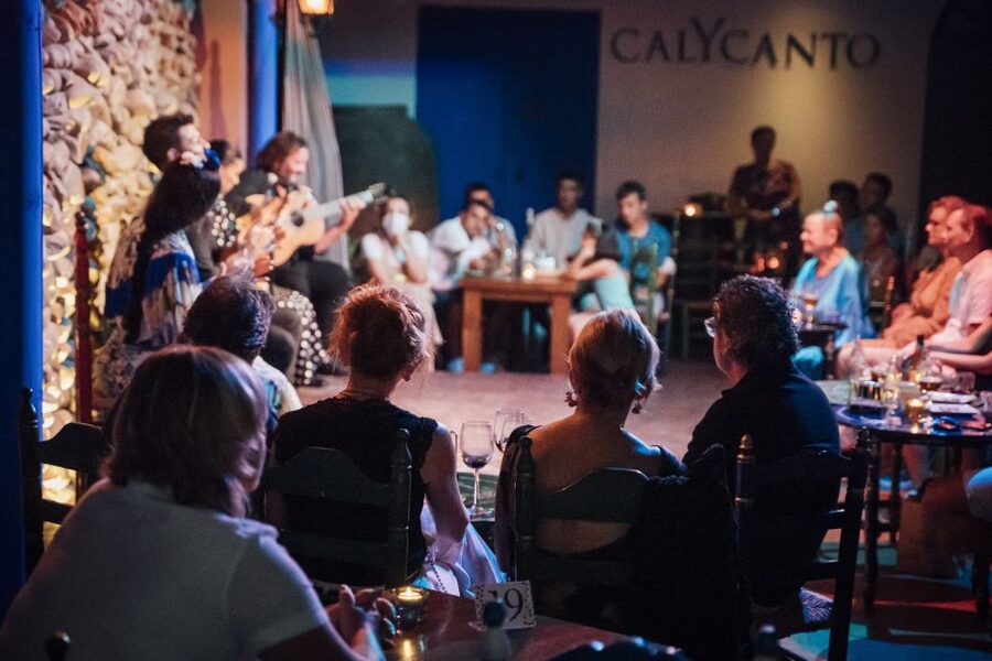 Malaga: Authentic Flamenco Show at El Gallo Ronco - Who will enjoy El Gallo Ronco most