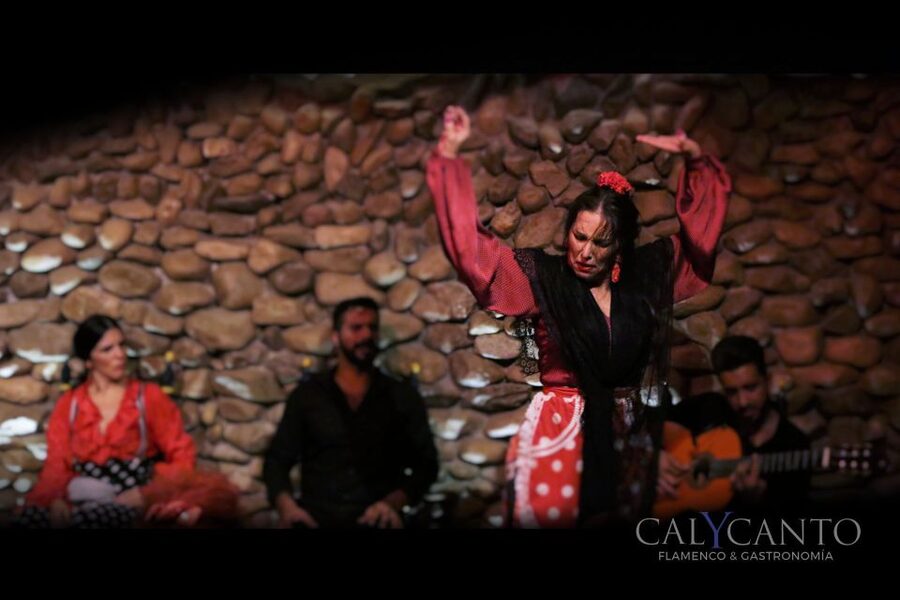 Malaga: Authentic Flamenco Show at El Gallo Ronco - Why the small room matters