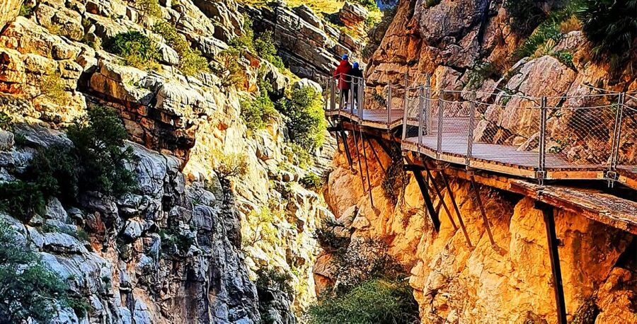 Málaga: Caminito del Rey Guided Tour with Transportation - Stories, geology, wildlife, and local details
