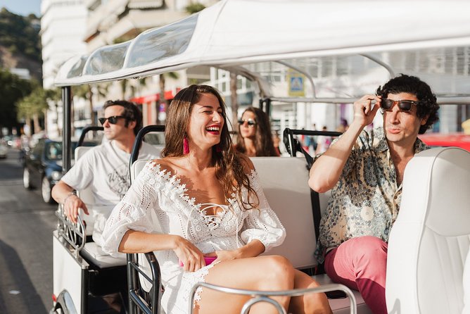 Malaga Expert Tour with Local Guide in Eco Tuk Tuk Private - Starting at Plaza de la Marina and Malaga’s center