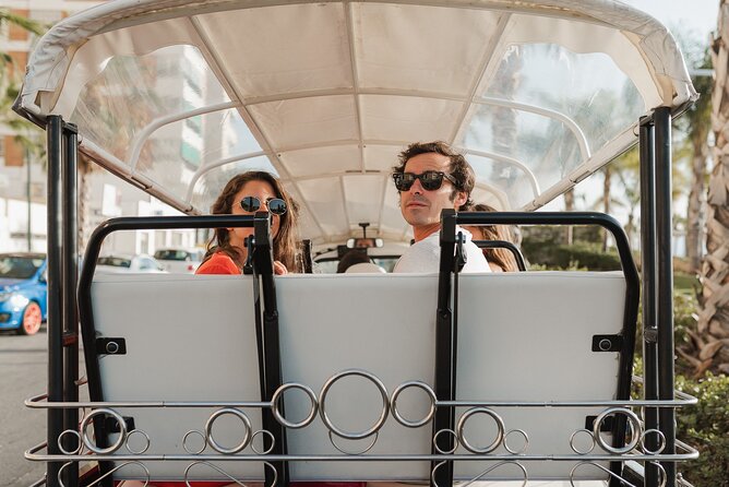 Malaga Expert Tour with Local Guide in Eco Tuk Tuk Private - What the guides add to the ride