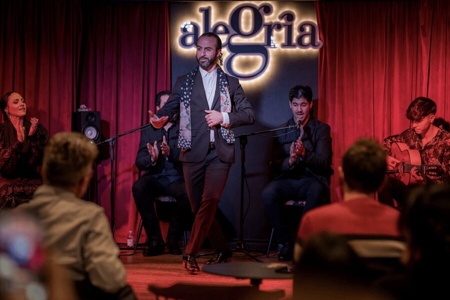 Málaga: Live Flamenco Show at Flamenco Alegría - Key points to know before you book