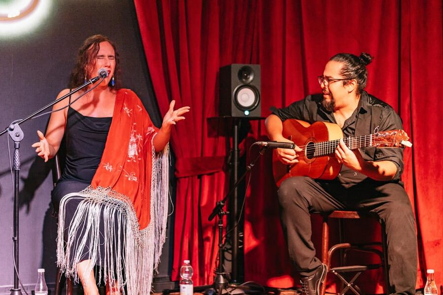 Málaga: Live Flamenco Show at Flamenco Alegría - What to listen and watch for