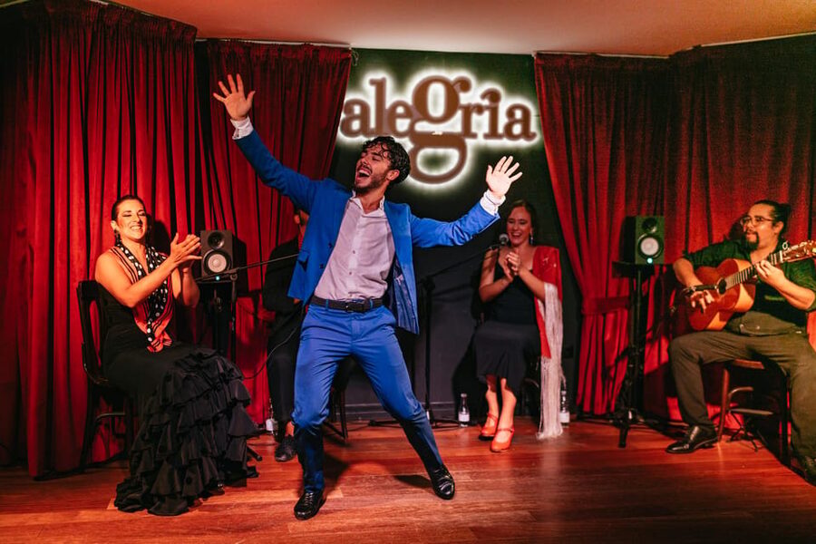 Málaga: Live Flamenco Show at Flamenco Alegría - Solo dances show the range of flamenco
