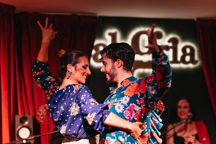 Málaga: Live Flamenco Show at Flamenco Alegría - Why the intimate setting matters