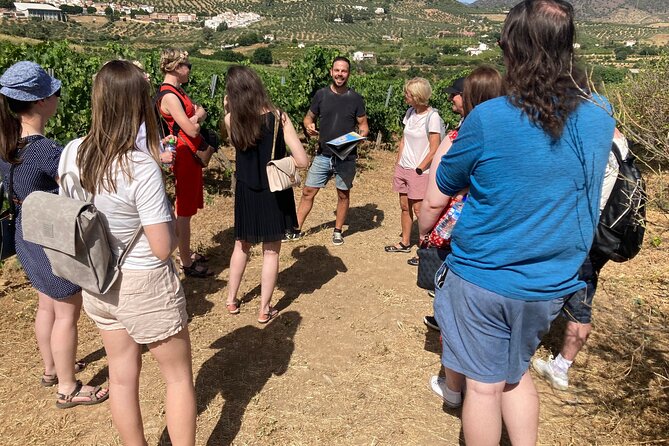 Malaga Organic Vineyard and Winery Six Wines Tapas and Transfer - Why this Málaga wine tour feels different