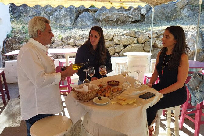 Malaga Organic Vineyard and Winery Six Wines Tapas and Transfer - What the $114.93 price really covers
