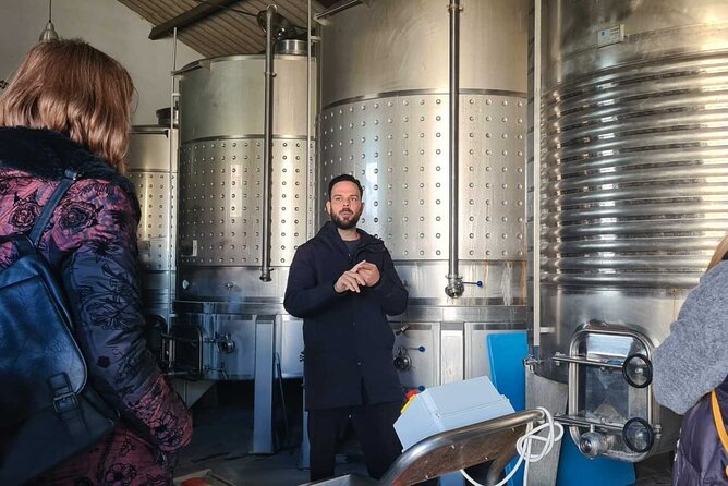 Malaga Organic Vineyard and Winery Six Wines Tapas and Transfer - Timing, group size, and practical comfort