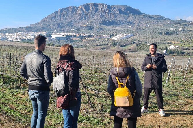 Malaga Organic Vineyard and Winery Six Wines Tapas and Transfer - Should you book the Málaga organic vineyard tour?