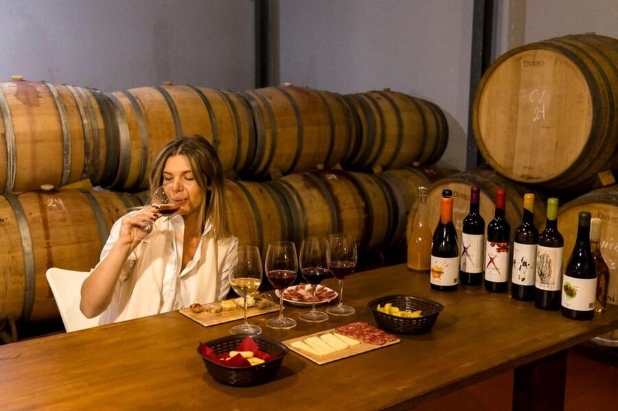 Malaga: Organic Vineyard Tour with 6 Wines, Tapas & Transfer - Leaving Malaga for the Malvajio vines