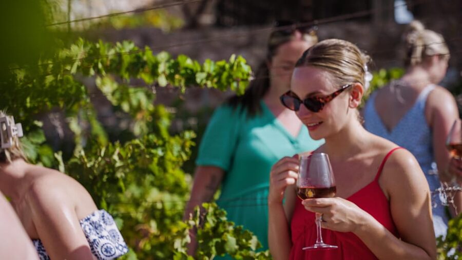Malaga: Organic Vineyard Tour with 6 Wines, Tapas & Transfer - Inside Antonio’s small production cellar