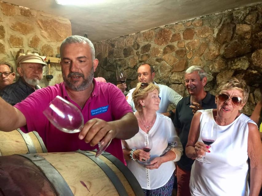 Malaga: Organic Vineyard Tour with 6 Wines, Tapas & Transfer - Why the small group matters