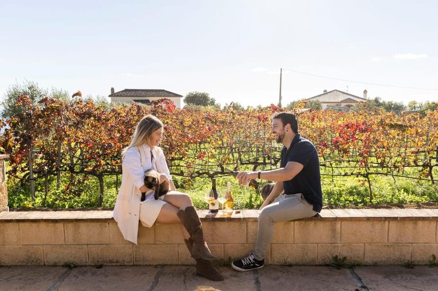 Malaga: Organic Vineyard Tour with 6 Wines, Tapas & Transfer - How the four and a half hours unfold