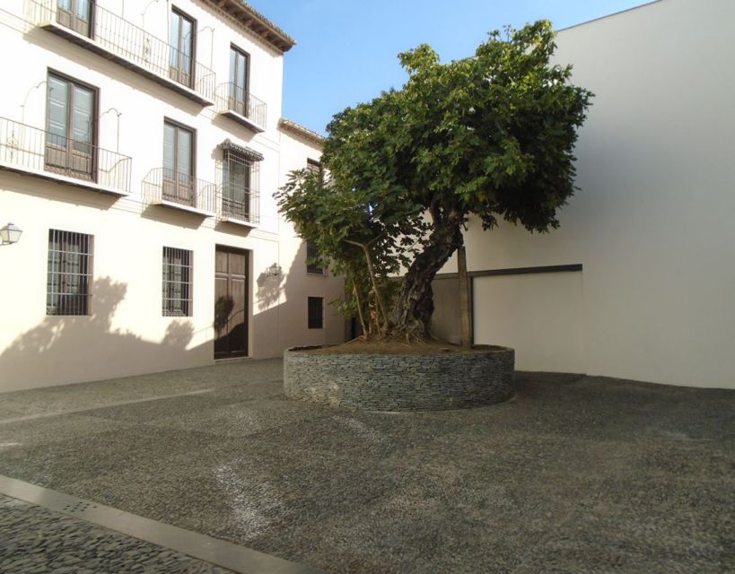 Malaga: Picasso Museum Guided Tour with Skip-the-Line Ticket - Esther’s teaching style and the guide you may receive